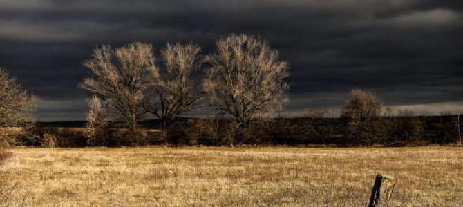 Field of God’s Choosing