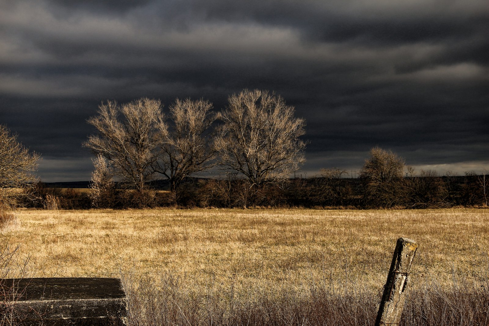 Field of God’s Choosing